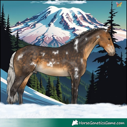 Horse Color:White Spotted Silver Buckskin