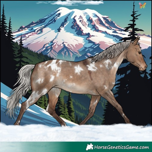Horse Color:White Spotted Silver Brown Dun Varnish 