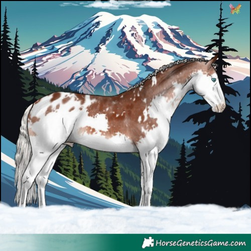 Horse Color:White Spotted Silver Brown Splash Blanket 