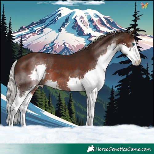 Horse Color:Silver Brown Splash 