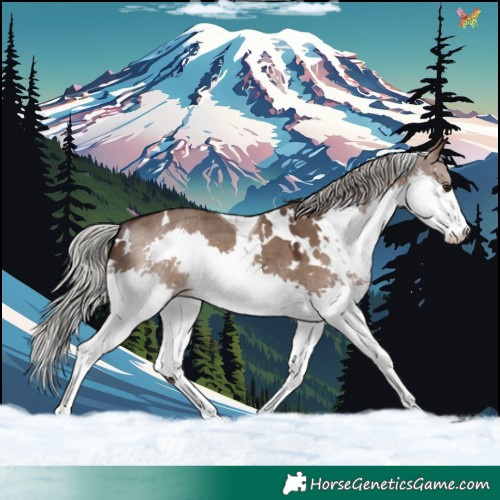 Horse Color:White Spotted Silver Brown Dun Splash Tobiano 