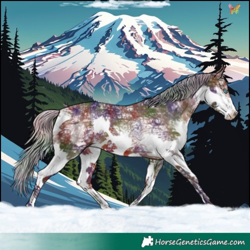 Horse Color:Nacre Silver Brown Ice Splash 