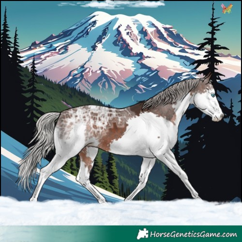 Horse Color:Silver Brown Ice Splash 