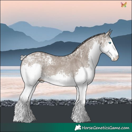 Horse Color:White Spotted Silver Grullo Ice Splash 