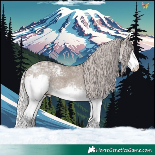 Horse Color:White Spotted Silver Grullo Ice Splash 
