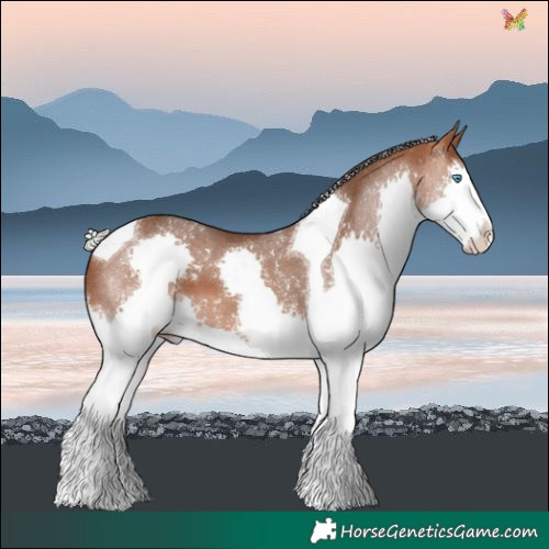 Horse Color:Silver Brown Splash Tobiano 