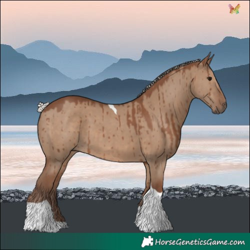 Horse Color:Silver Grullo Tobiano Brindle 