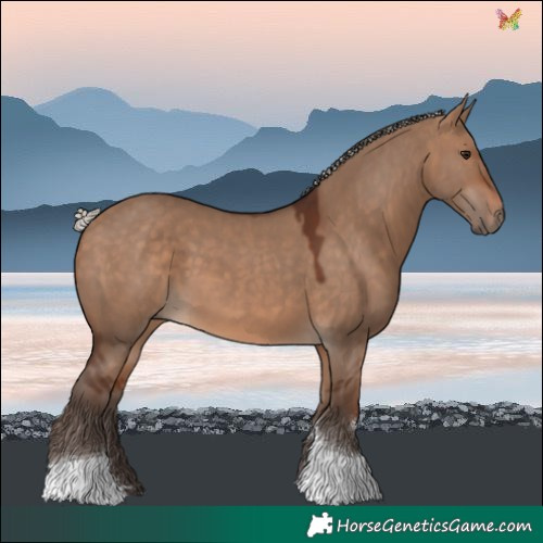 Horse Color:Silver Brown Dun Tobiano 