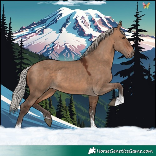 Horse Color:Silver Brown Dun Tobiano