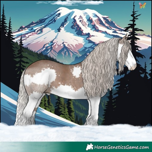 Horse Color:Silver Black Splash 