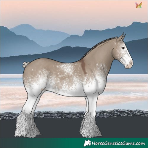 Horse Color:White Spotted Silver Grullo 