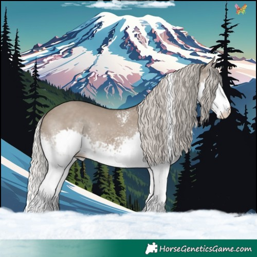 Horse Color:White Spotted Silver Grullo Splash Tobiano 