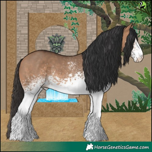 Horse Color:White Spotted Bay Dun 