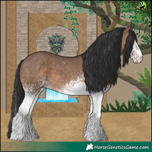 Horse Color:White Spotted Brown Dun 