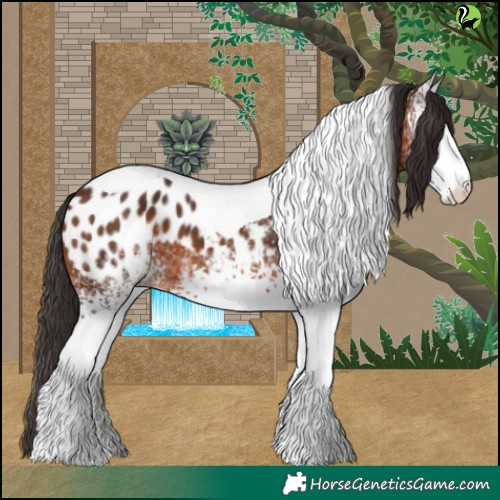 Horse Color:White Spotted Brown Tobiano Blanket 