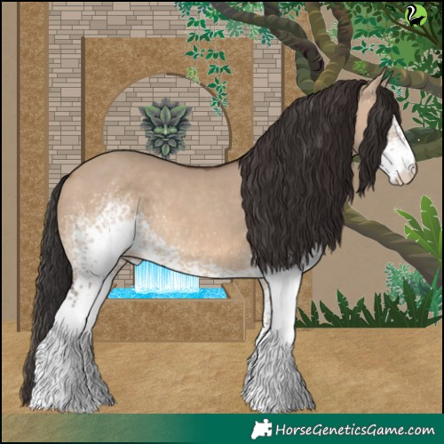 Horse Color:White Spotted Brown Dun 