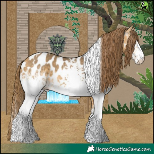 Horse Color:White Spotted Buckskin Dun Tobiano Appaloosa 