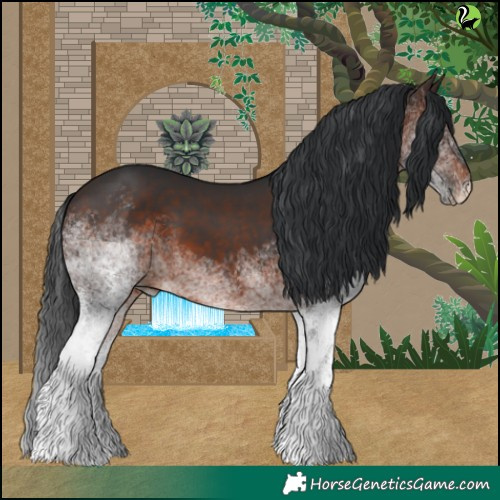 Horse Color:White Spotted Brown 