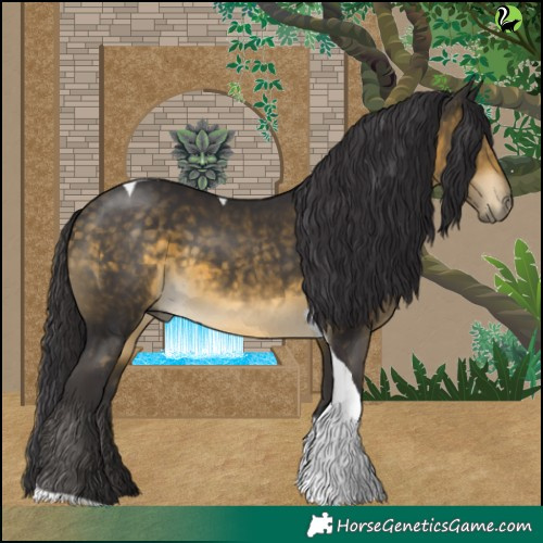 Horse Color:Buckskin Tobiano 