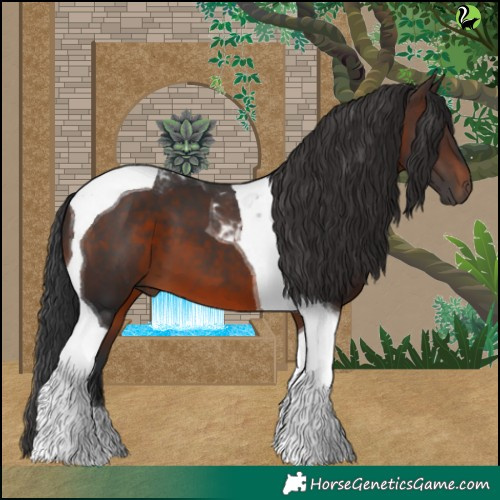 Horse Color:Brown Tobiano 