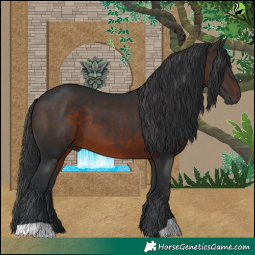 Horse Color:Brown 