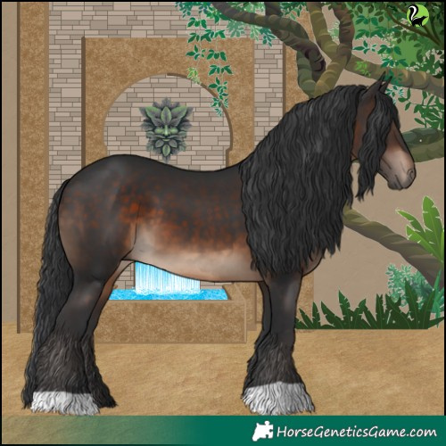 Horse Color:Brown 