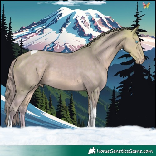 Horse Color:Watercolor Perlino Tobiano