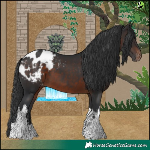 Horse Color:White Spotted Brown Tobiano Blanket 