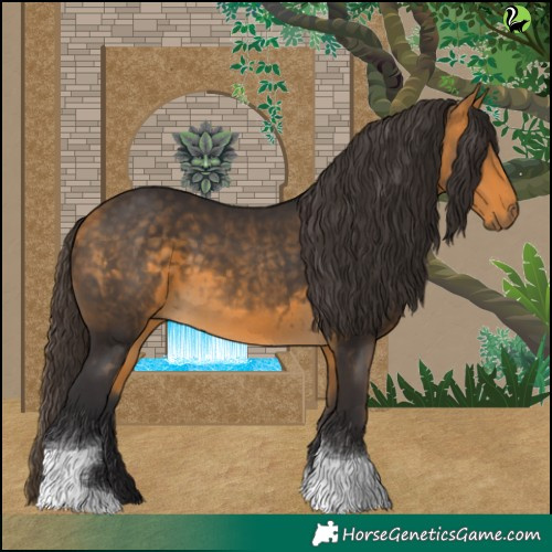 Horse Color:White Spotted Buckskin Tobiano 