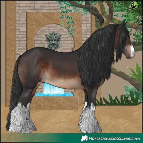 Horse Color:White Spotted Brown