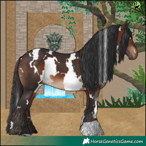 Horse Color:White Spotted Brown 