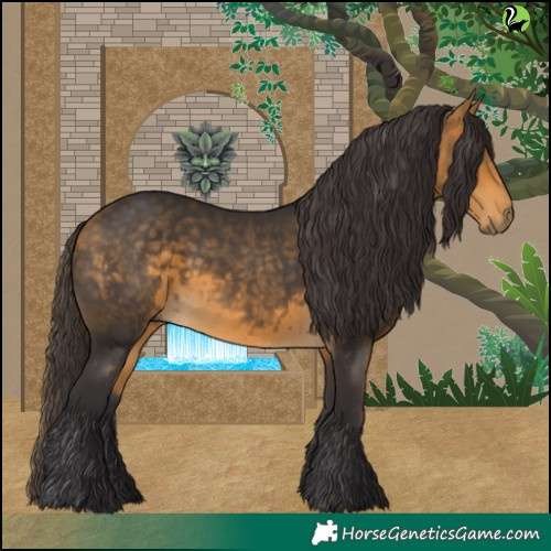 Horse Color:Buckskin 