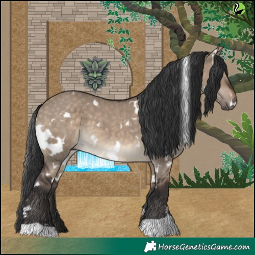 Horse Color:White Spotted Brown Dun 