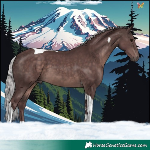 Horse Color:Platinum Chocolate Silver Brown Tobiano 