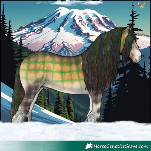 Horse Color:Plaid Buckskin Onyx Tobiano