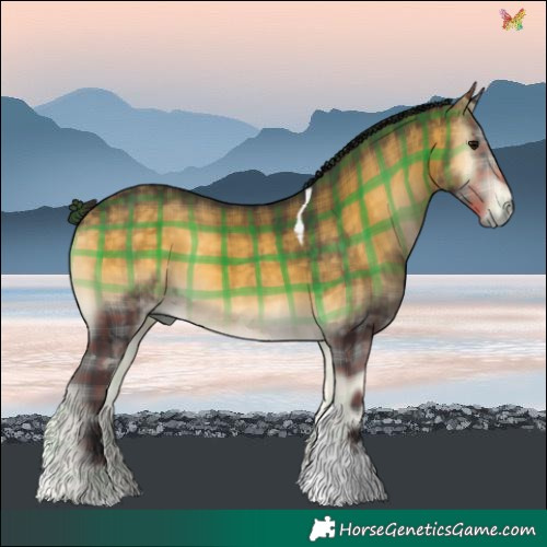 Horse Color:Plaid  Buckskin Onyx Tobiano 
