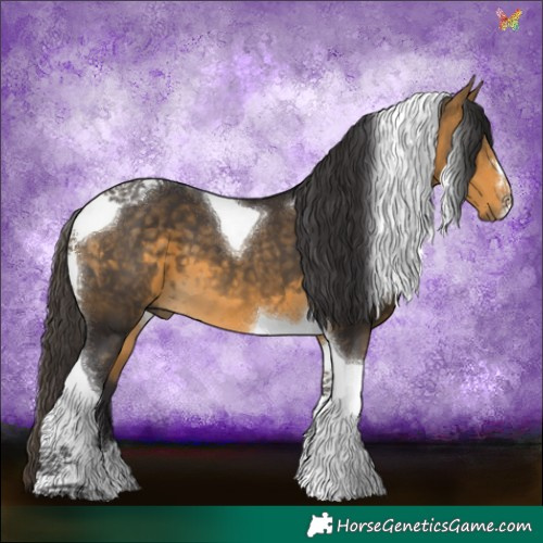 Horse Color:Buckskin Tobiano 