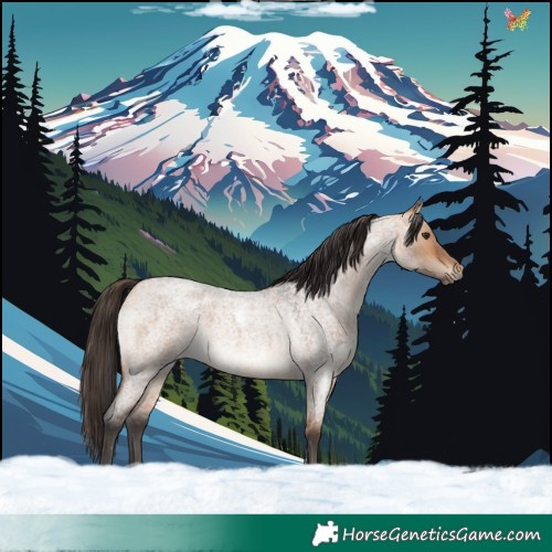 Horse Color:White Spotted Bay Roan Dun Rabicano 