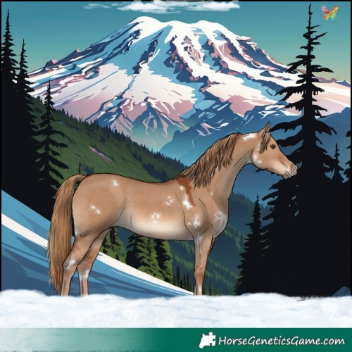 Horse Color:White Spotted Red Dun Rabicano