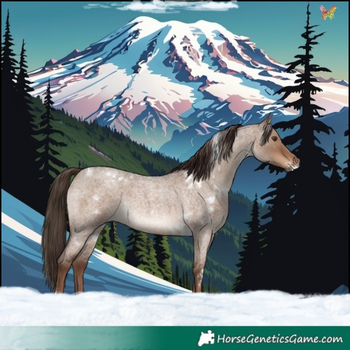 Horse Color:White Spotted Liver Red Dun Roan Rabicano 