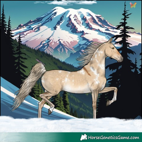 Horse Color:White Spotted Chocolate Palomino Dun Rabicano 