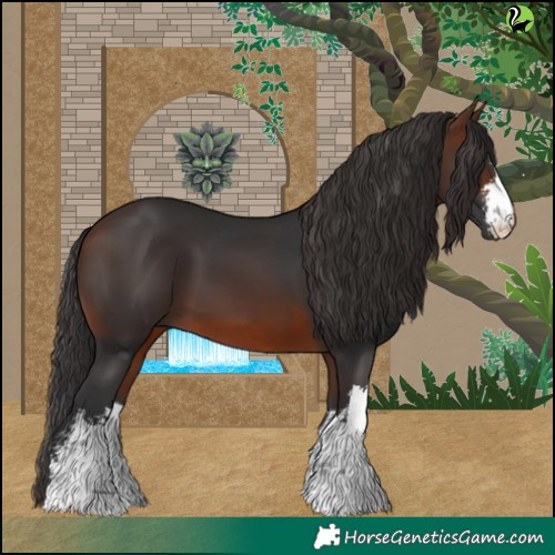 Horse Color:White Spotted Brown 
