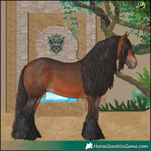 Horse Color:White Spotted Bay
