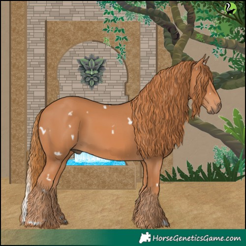 Horse Color:White Spotted Chestnut 