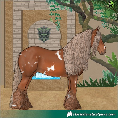 Horse Color:White Spotted Chestnut 