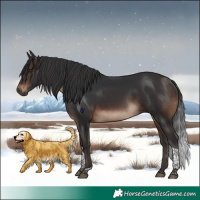 Horse Color:Brown Tobiano Rabicano 