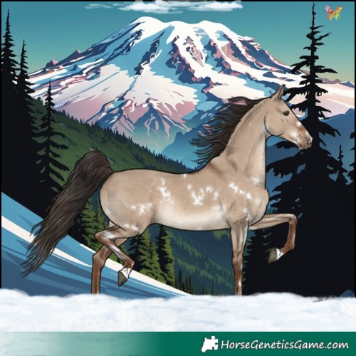 Horse Color:White Spotted Liver Red Dun Rabicano 