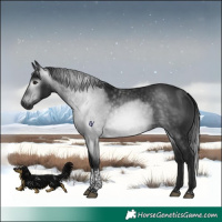 Horse Color:Gray Brown Tobiano Rabicano 