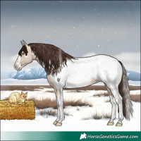 Horse Color:Sable Champagne Dun Splash Tobiano Near Fewspot Rabicano