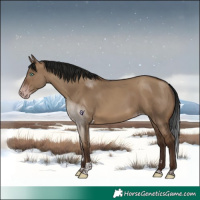 Horse Color:Gray Sable Champagne Dun Tobiano Rabicano
